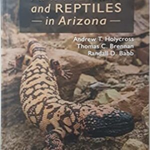 A Field Guide to Reptiles and Amphibians in Arizona
