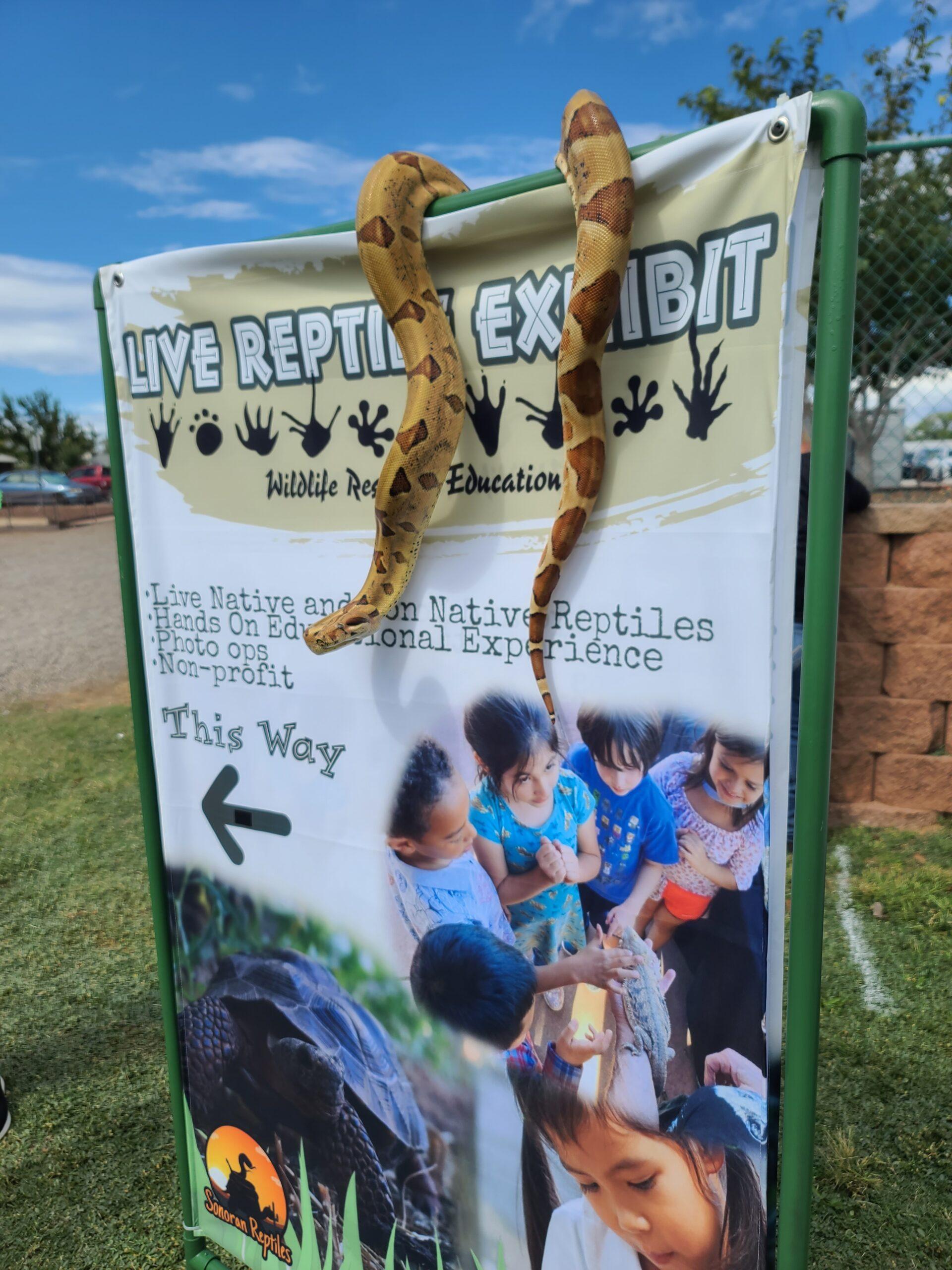 reptile rescue exhibit